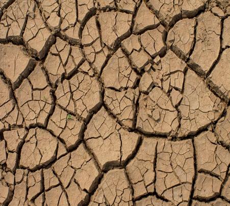  Cracked earth (photo credit: INGIMAGE)