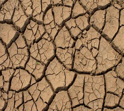 Cracked earth (photo kreditt: INGIMAGE)