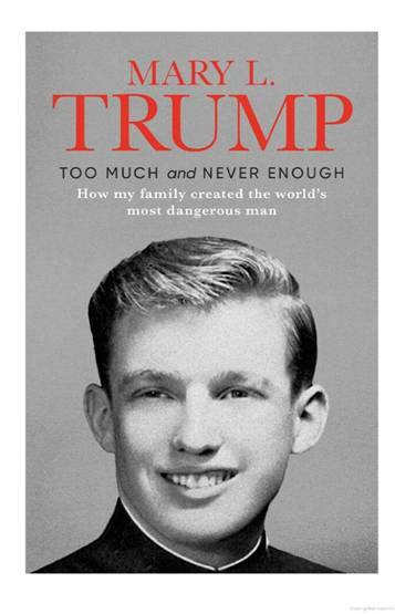 - PSYKOPAT: Steinfeld slukte to bker om mannen som seinere ble president, fr han ble valgt sist, deriblant denne, Too much and never Enough, av tantebarnet til Trump.