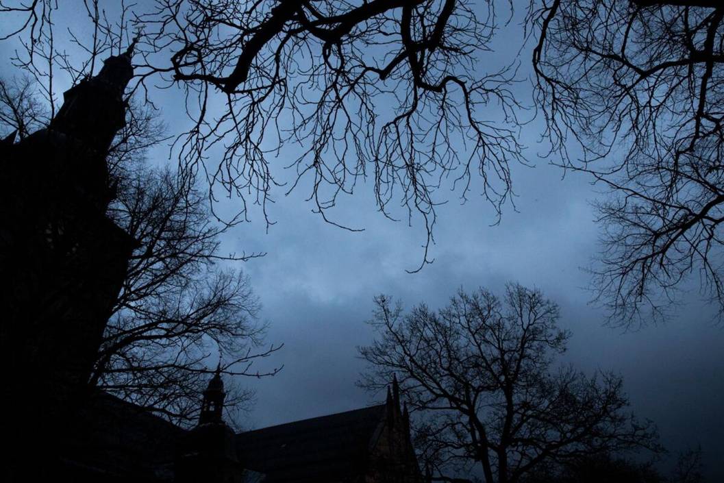 Et bilde som inneholder himmel, utendrs, sky, gren

Automatisk generert beskrivelse