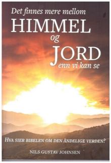 Et bilde som inneholder tekst, plakat, Bokomslag, roman

Automatisk generert beskrivelse