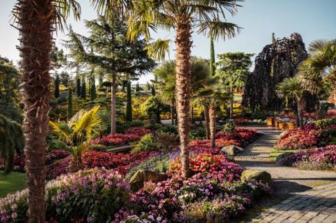 Et bilde som inneholder utendrs, palmetre, plante, Landskapsarkitektur

Automatisk generert beskrivelse