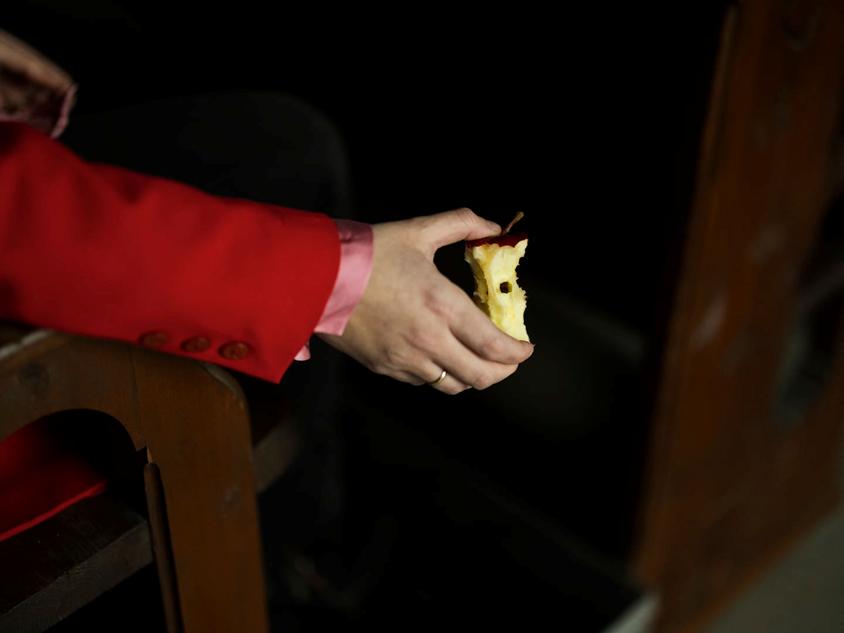 Kristine Gripsgård - Epleskrotten