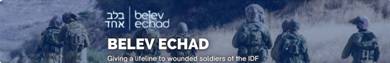 Belev Echad